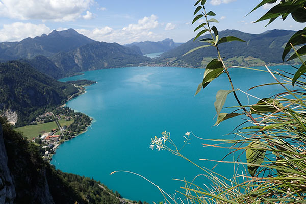 Attersee Panorama